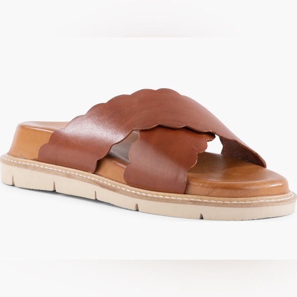 SEYCHELLES WOODSTOCK PLATFORM BROWN  LEATHER SLIDE ON SANDAL NEW IN BOX - Picture 1 of 8